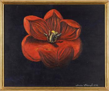 Mats Norryd, Utan titel.