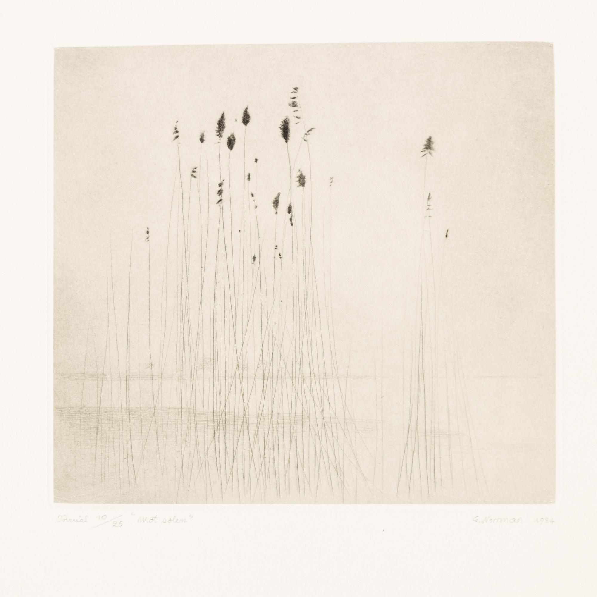 Gunnar Norrman, Drypoint engravings, 9, signed and numbered.