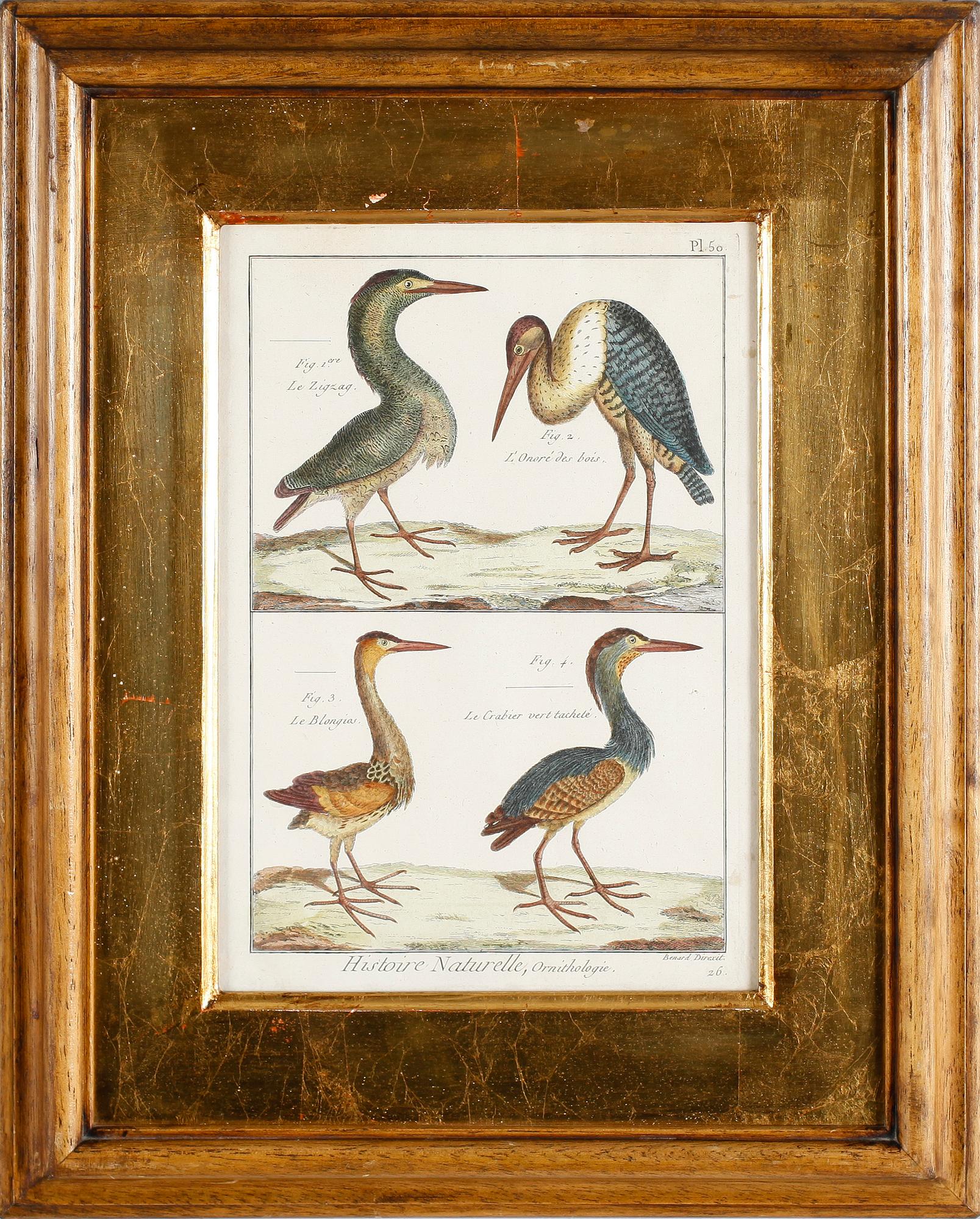 GRAVYRER, 2 st, efter Martinet, kolorerade, 1800-tal.