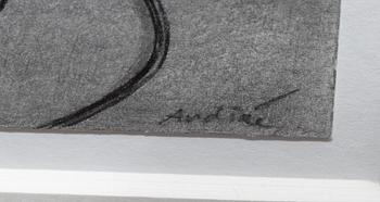 Patrik Andiné, "Skymd uppdenbarelse".