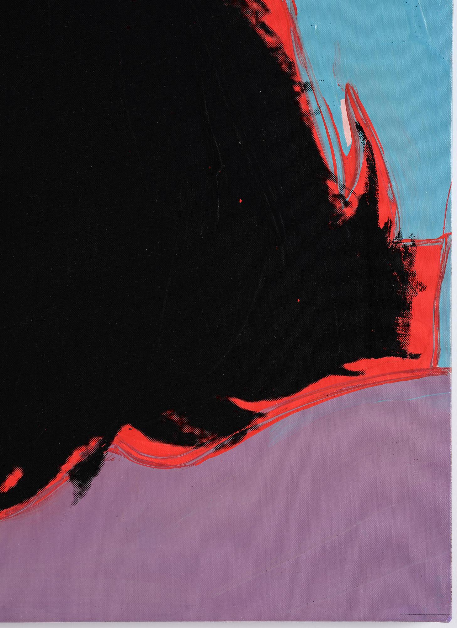 Andy Warhol, Scandinavian Beauty II.