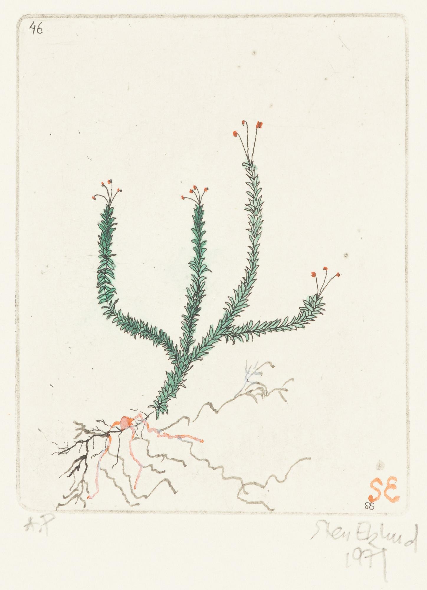 Sten Eklund, "Mossa", Ur "Kullahusets hemlighet".