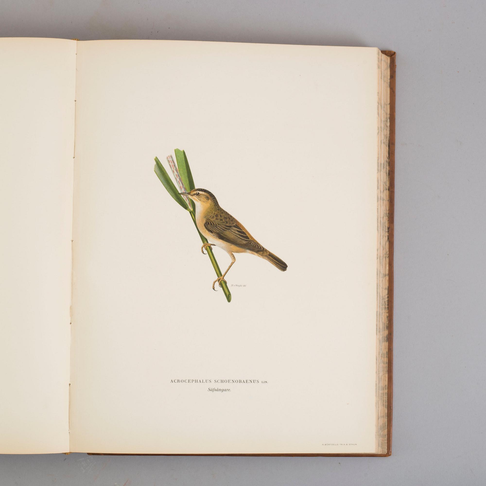 Three book "Svenska fåglar (Swedish birds)" with images by M, W & F VON WRIGHT, printed by Börtzells AB, 1924-1929.