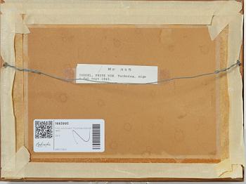 Fritz von Dardel, Matroses.