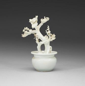 A blanc de chine miniature garden pot with a plant, Qing dynasty (1664-1912).