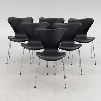 Arne Jacobsen, stolar, 6 st, "Sjuan" Fritz Hansen, Danmark, daterade 2016.