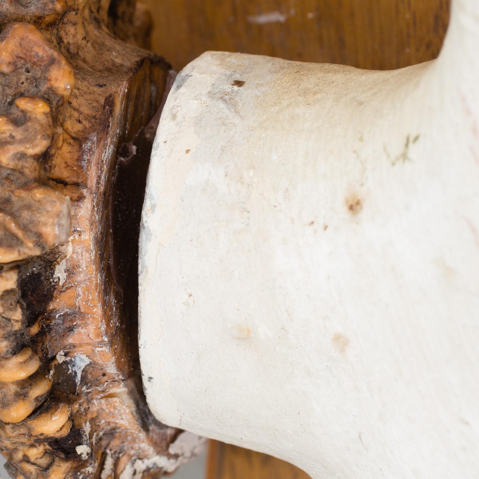 Jakttrofé, älghorn 12 taggar, 1960-tal.