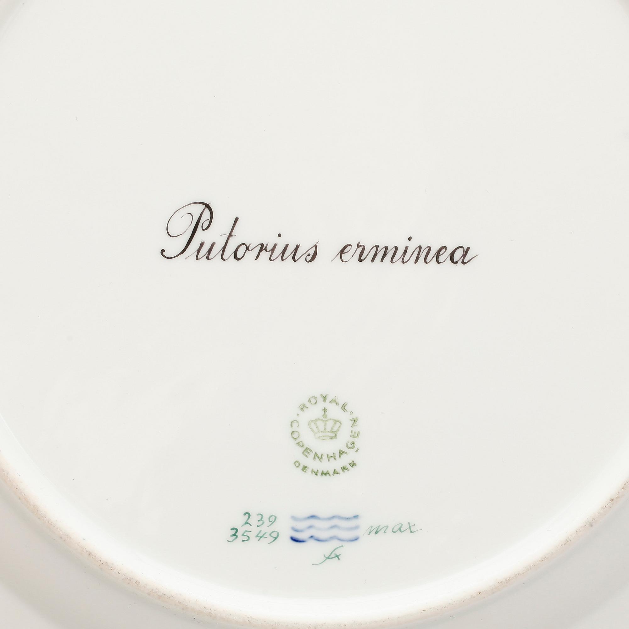 TALLRIKAR, tre stycken, porslin. "Fauna Danica", Kunglig Dansk.