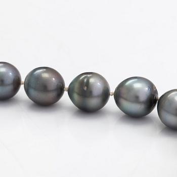 A cultured Tahiti pearl necklace, clasp in 18K gold.