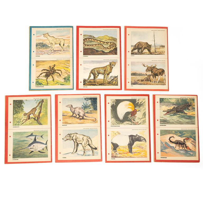 Comic books, 21 pieces, “Tarzan”, 1952.