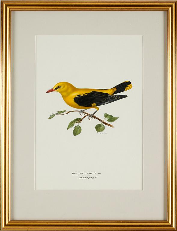 MAGNUS VON WRIGHT, litografiska tryck 4 st,