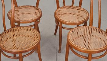 STOLAR, 3+1 st, Thonet-stil, 1900-talets första hälft.