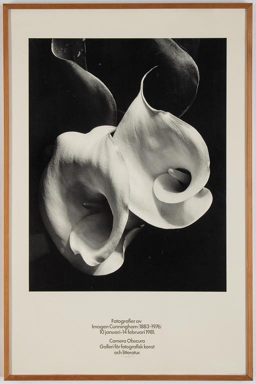 Irving Penn och Imogen Cunningham, 2 utställningsaffischer från Camera Obscura 1980 och 1981.