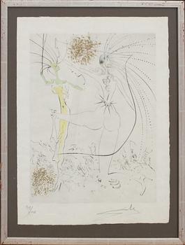 SALVADOR DALÍ, drypoint on Japan paper, signed and numbered.