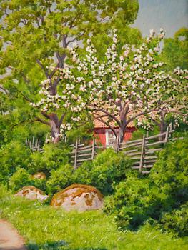 Johan Krouthén, Blooming fruit trees.