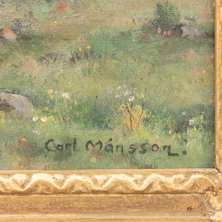 Carl Månsson, untitled.