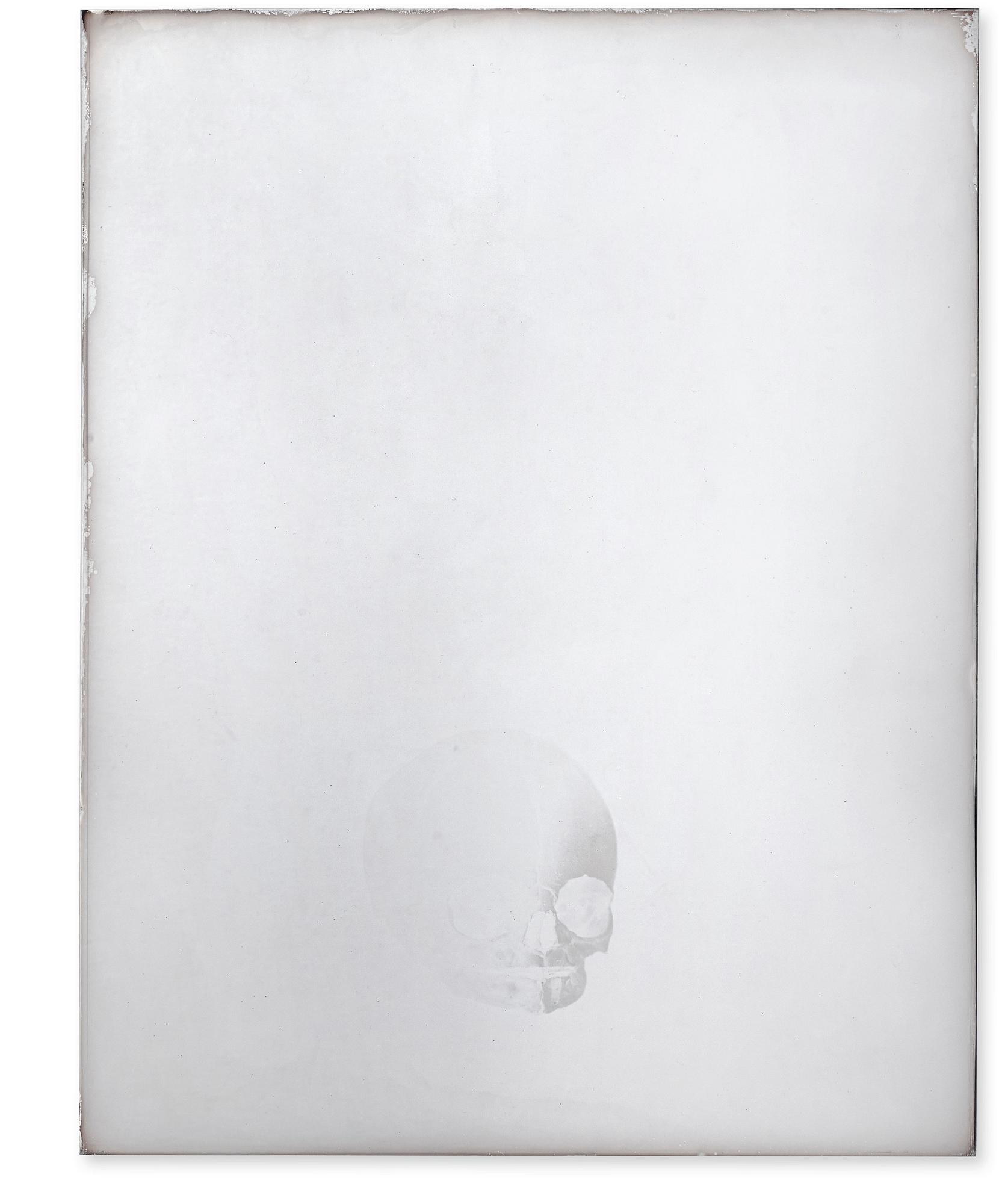Adam Fuss, "Untitled", 2002.
