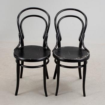 STOLAR, 2 st, Thonet, 1900-talets början.