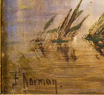 Unknown artist signed F Norman.