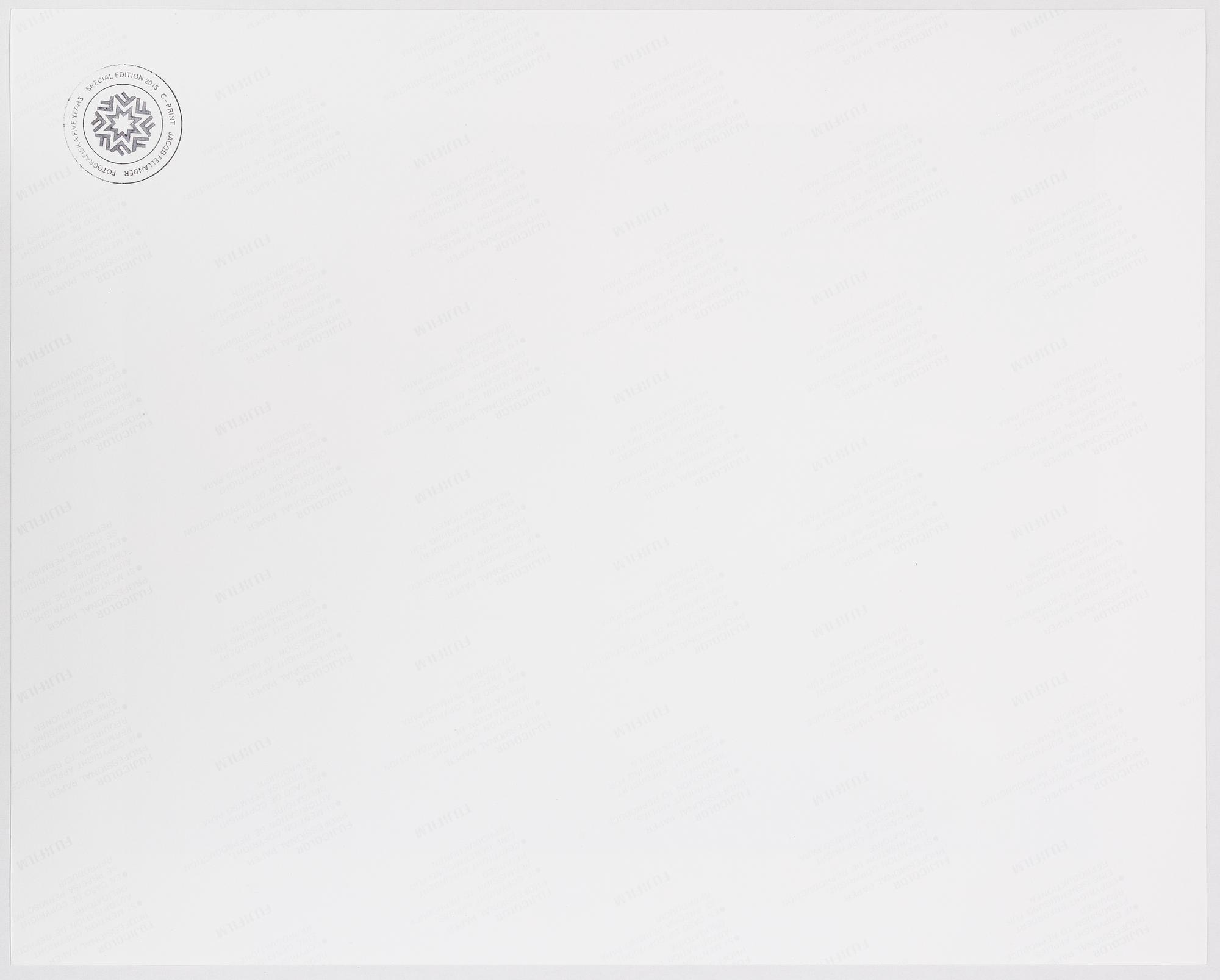 Jacob Felländer, "Fotografiska Five Years", Special edition, 2015.