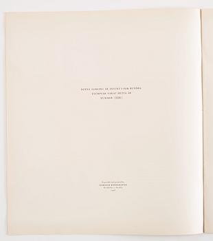 Helene Schjerfbeck, efter, "Helene Schjerfbeck".