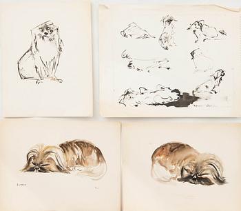 Margit Jones, akvareller, 4 st, "Loppan".