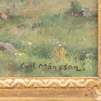Carl Månsson, untitled.