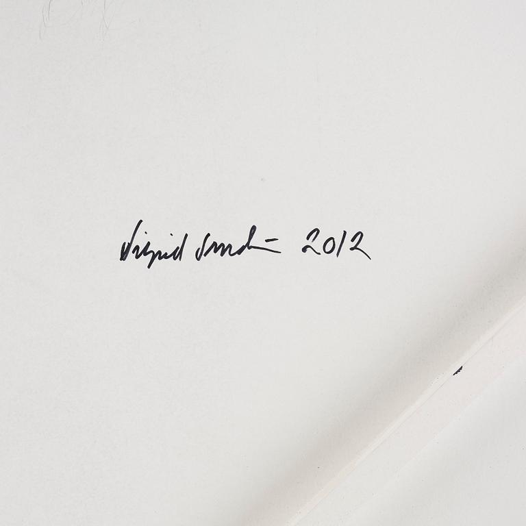 Sigrid Sandström, Untitled.