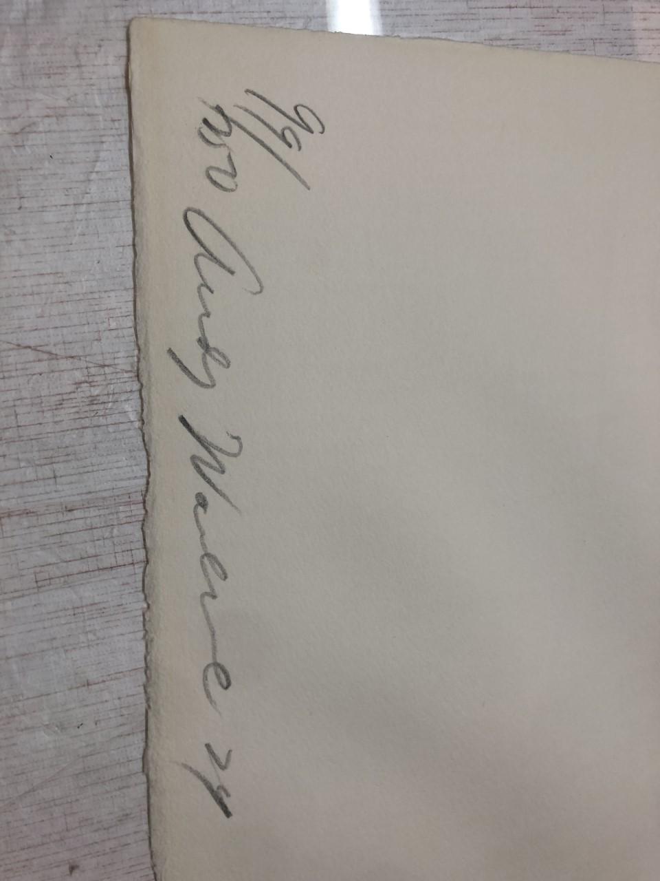 ANDY WARHOL, Silkscreen 1974, on Arches paper, signed with initials in pencil, and also signed and numbered 99/250 verso.