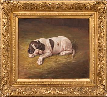 Johan von Holst, 1900,  vilande hund.