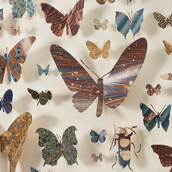 Helen Ward, "Paper Entomology".