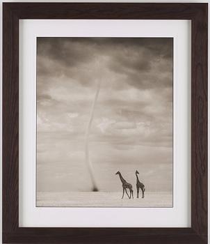 Nick Brandt, "Giraffes & Dust Devil, Amboseli", 2007.