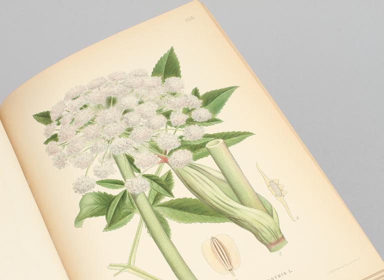 BÖCKER, 3 volymer C.A.M Lindman. "Bilder ur Nordens Flora". C. A. M. Lindman, Wahlström & Widstrand, 1922-1926.