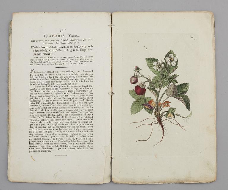 JOHAN WILHELM PALMSTRUCH, "Svensk Botanik, vol I-V. 1803-1805.