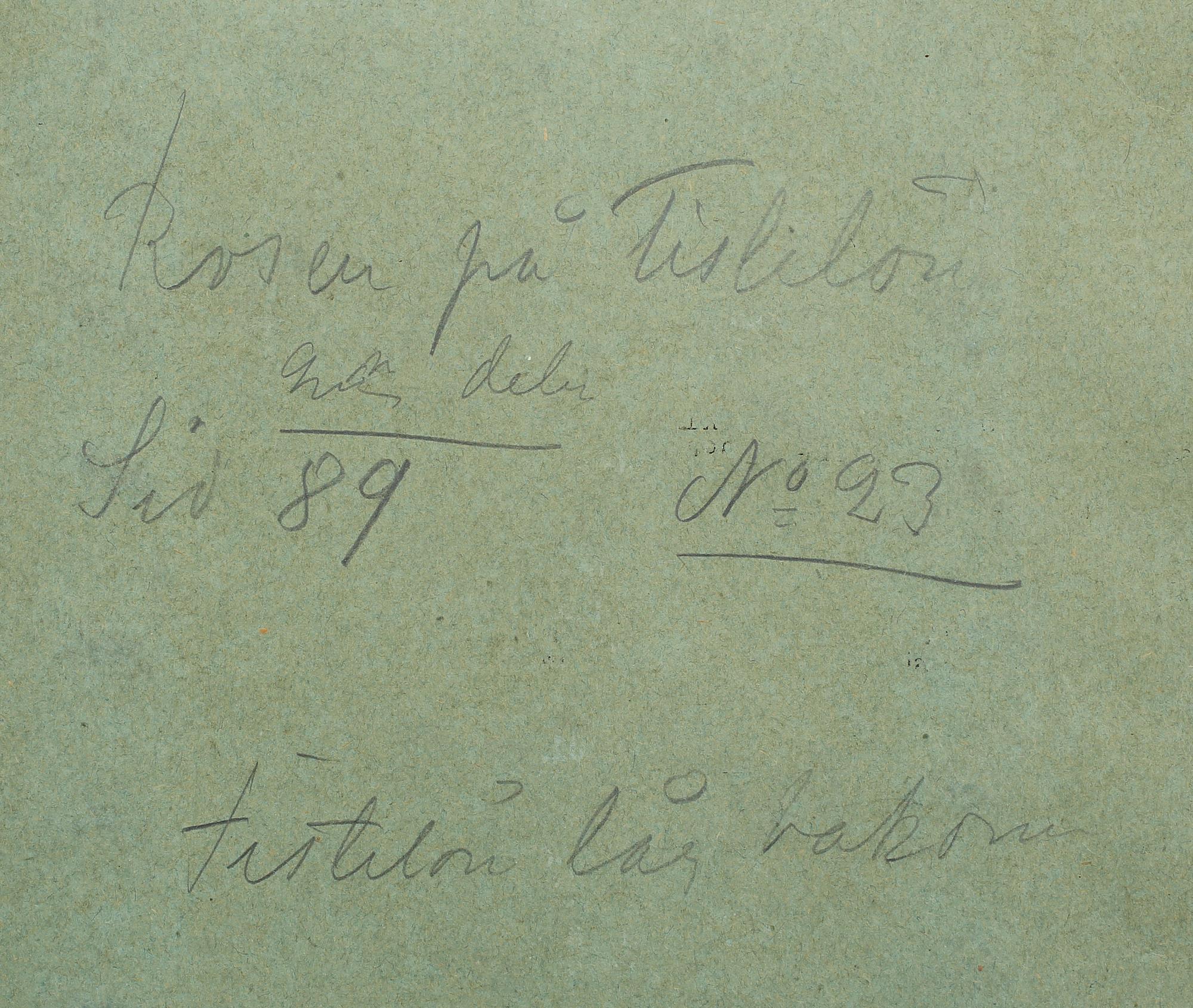 JENNY NYSTRÖM, akvarell med täckvitt, monogramsignerad.