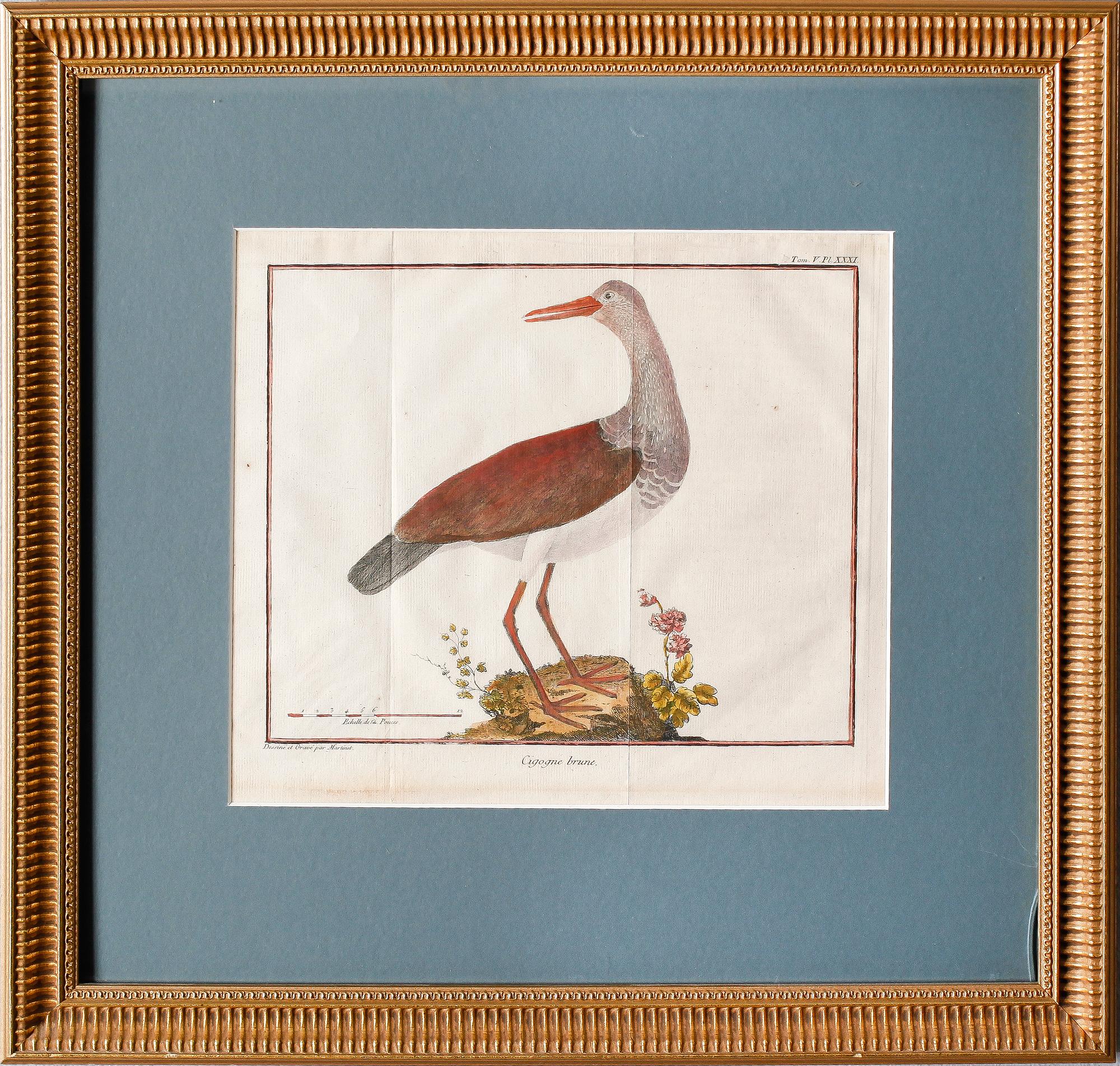 GRAVYRER, 2 st, efter Martinet, kolorerade, 1800-tal.