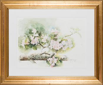 Fritz Jakobsson, 'Apple Blossoms'.