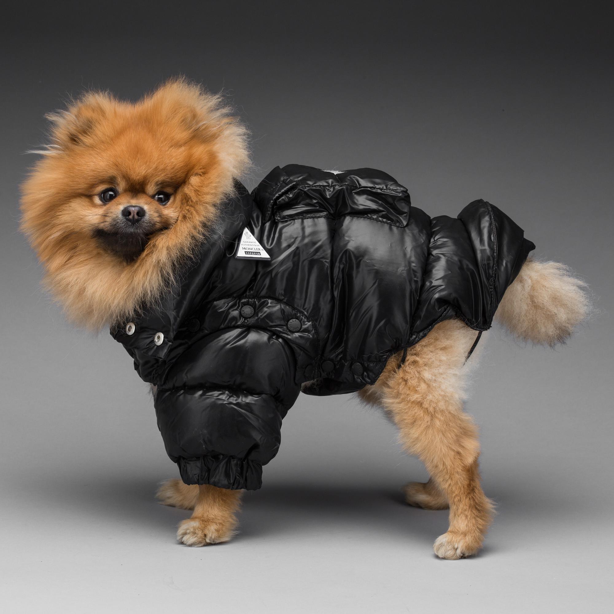 HUNDJACKOR, 2 stycken, Moncler samt Burberry.