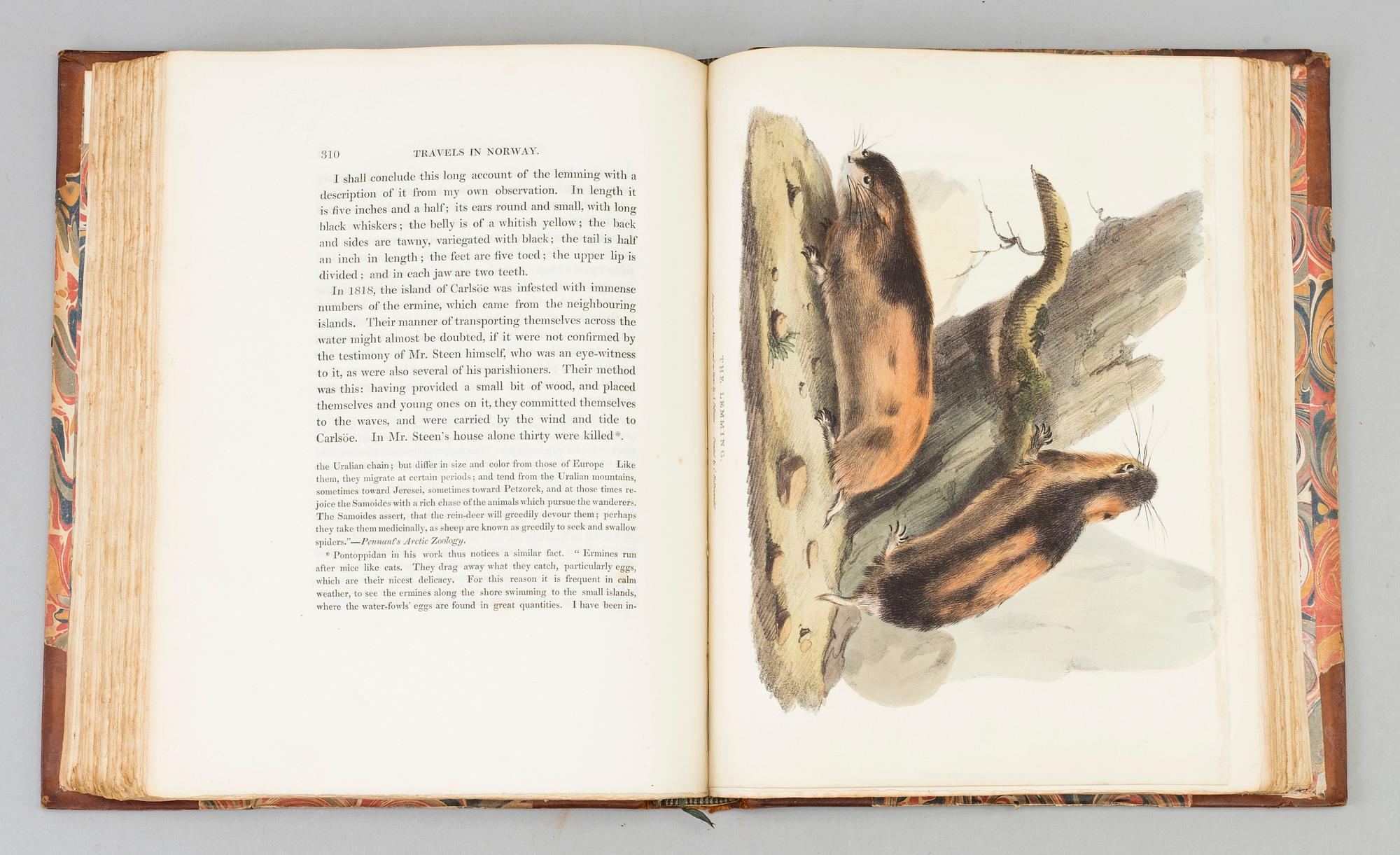 A book, Arthur de Capell Brooke: Travels through Sweden, Norway, and Finmark, London 1823.