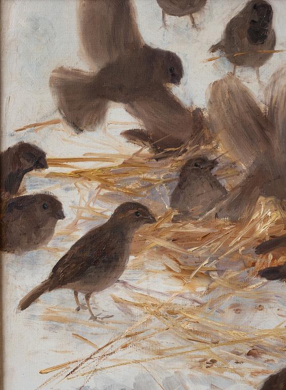 Bruno Liljefors, Sparrows.