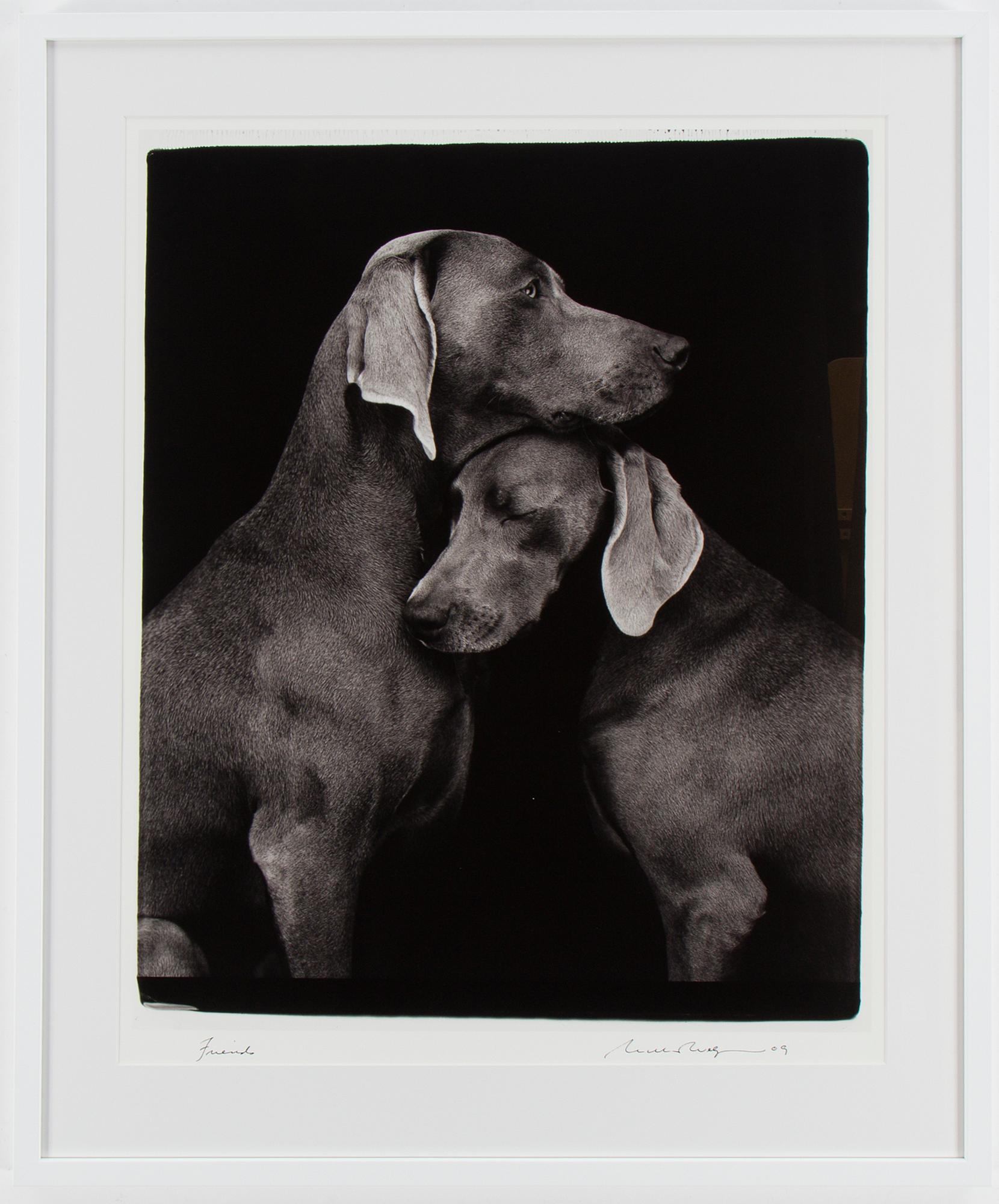 WILLIAM WEGMAN, photography signed William Wegman, edition of 1500.