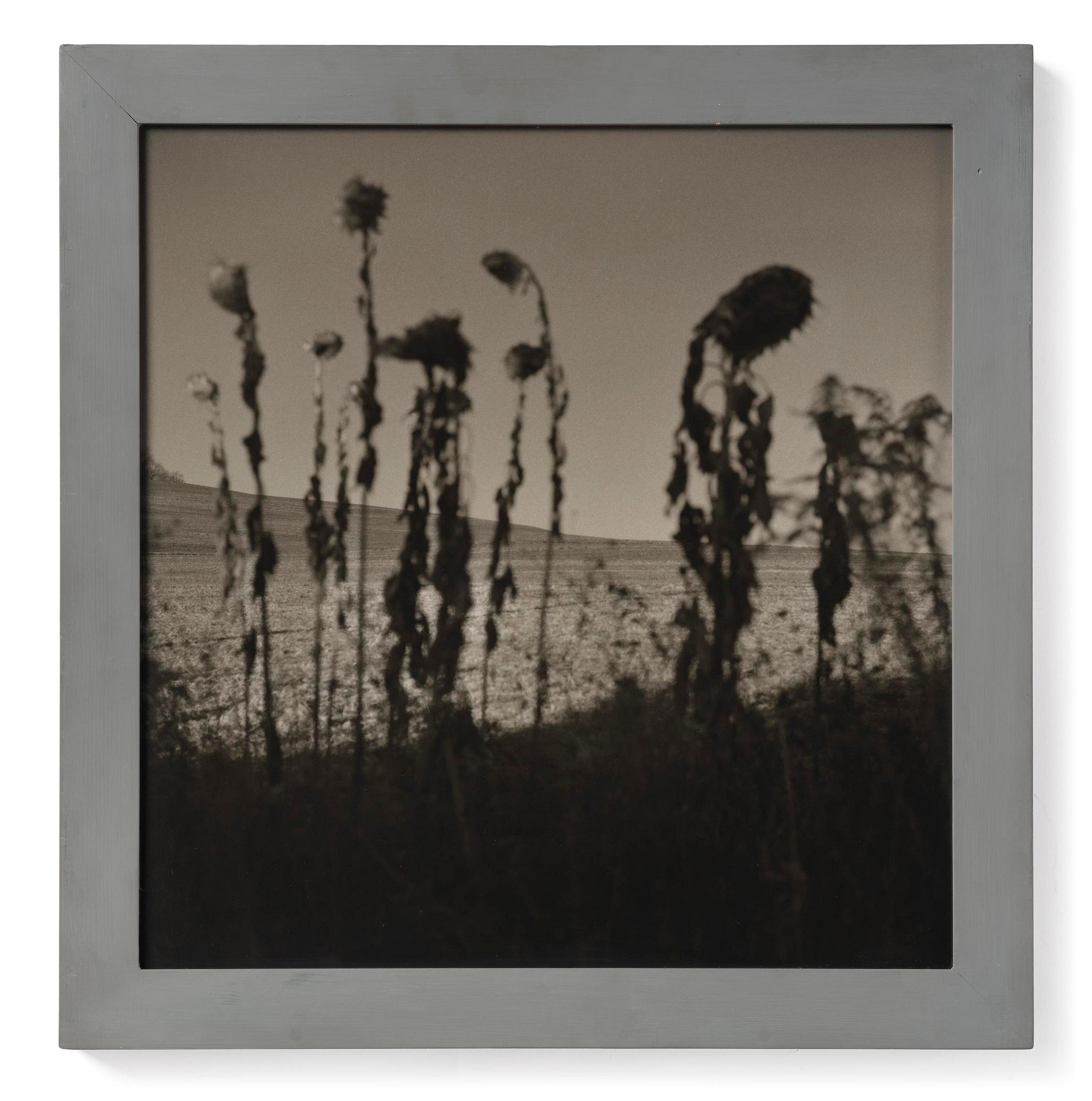 Gerry Johansson, "Sommerset. Pennsylvania", 1994.