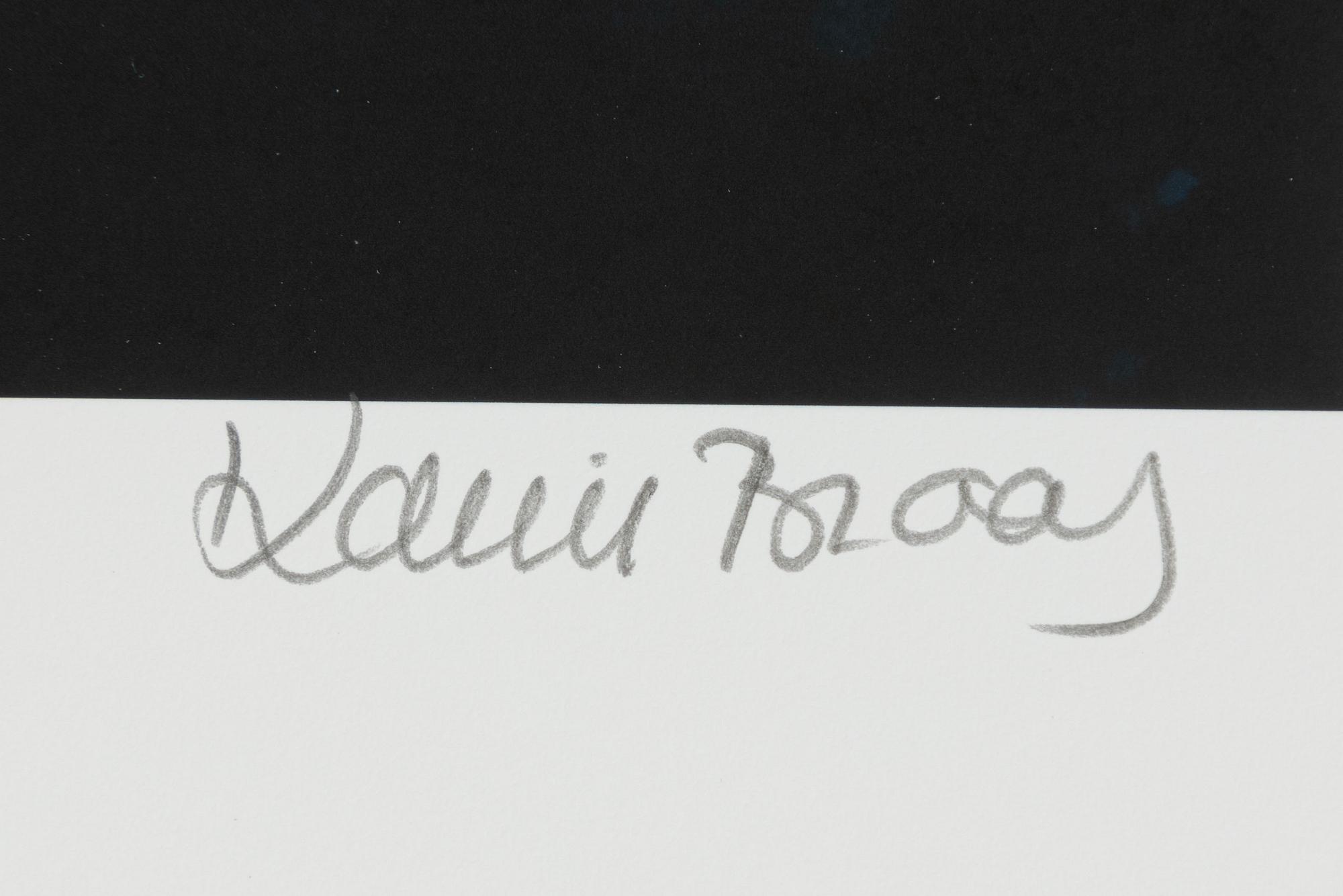 Karin Broos, "Skogsljus 2".