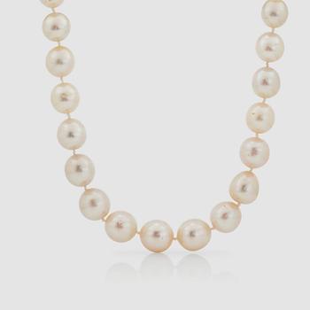 1285. A cultured South Sea pearl necklace. Ø 12 - 15 mm.