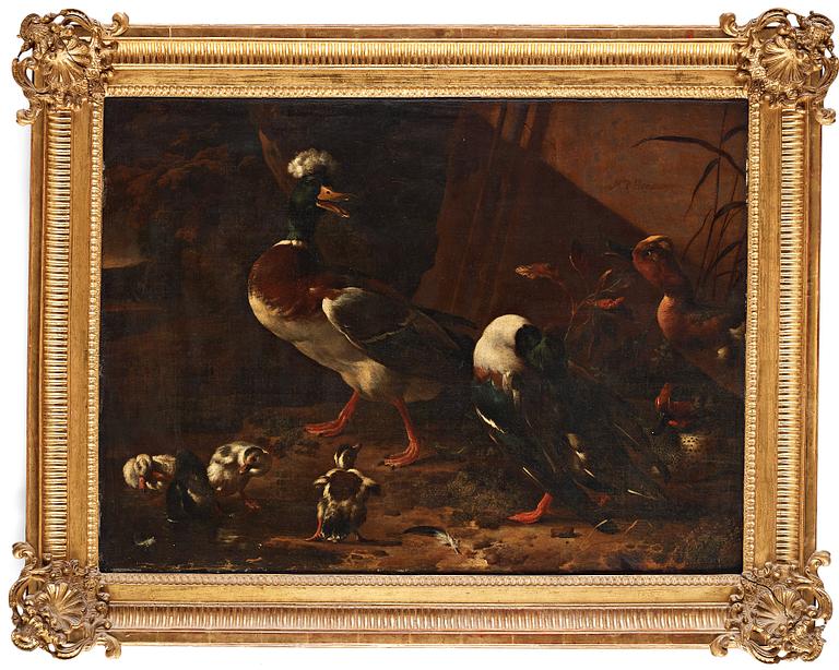 Melchior de Hondecoeter Attributed to, A duck family by the water.