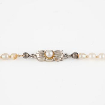 Necklace, with pearls, clasp 18K gold.