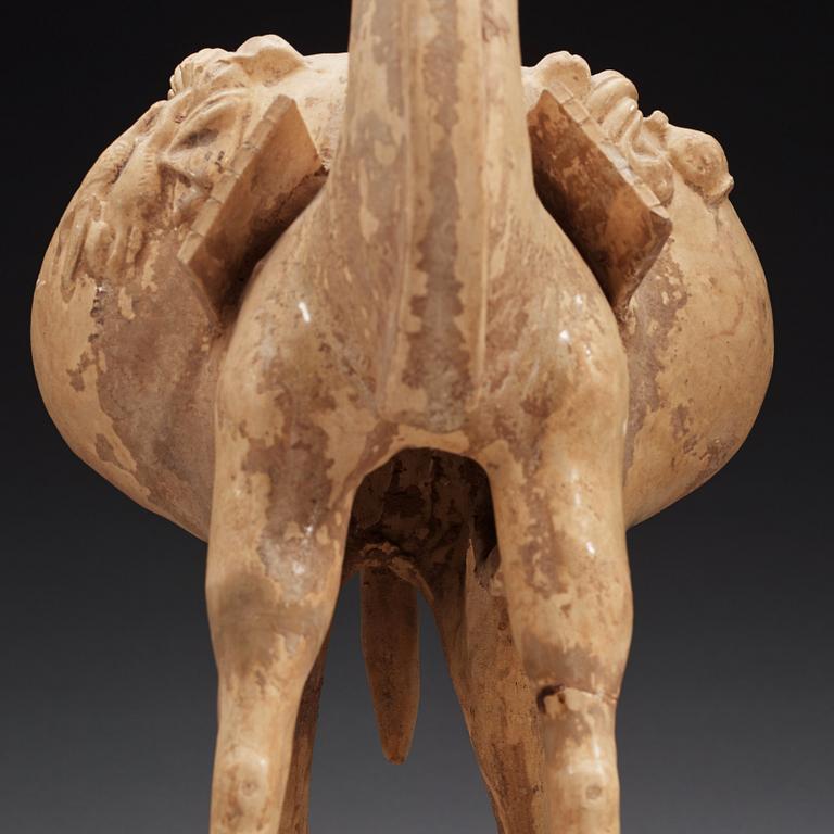 A yellow glazed figure of a camel, Tang dynasty (608-906).