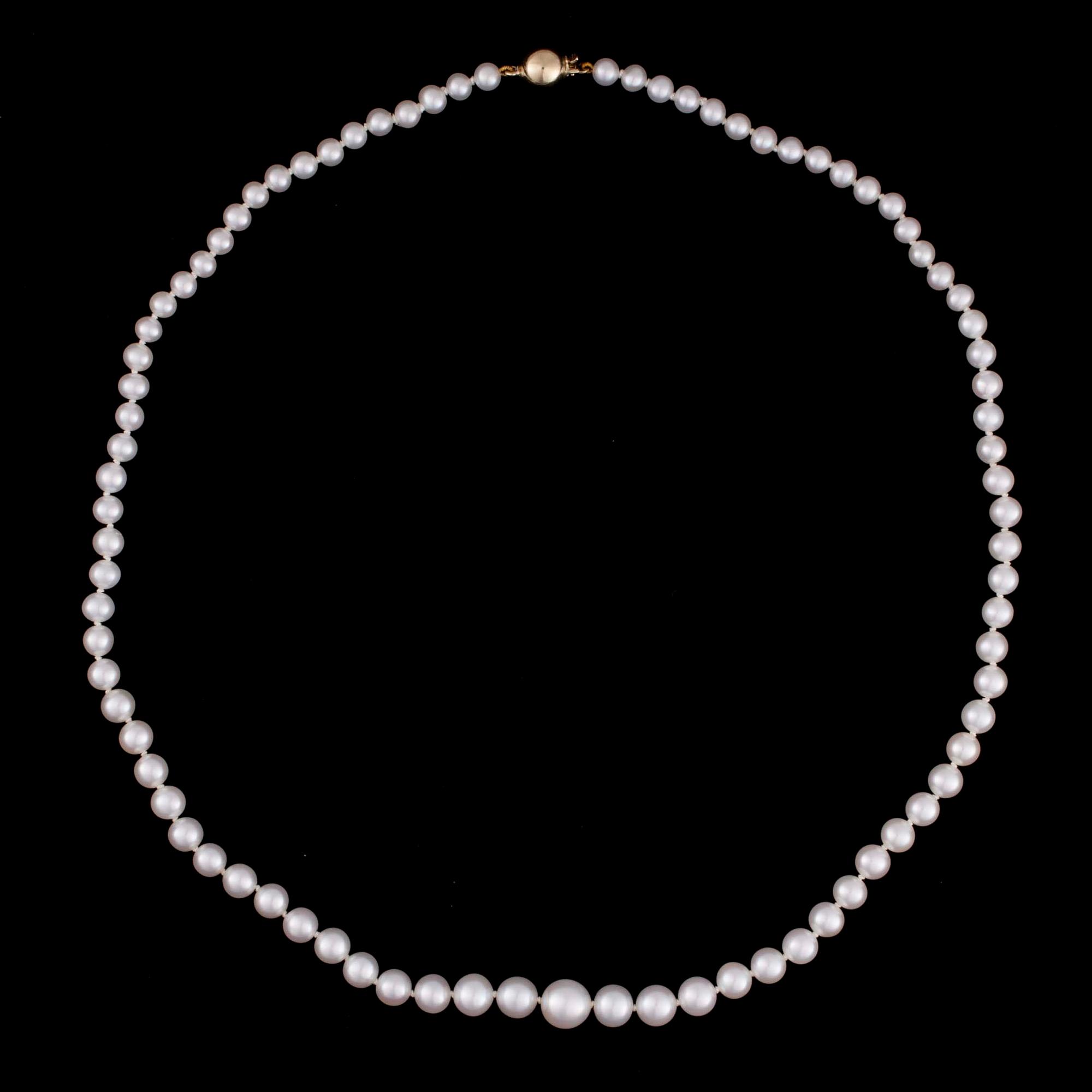 PÄRLCOLLIER, graderade sötvattenspärlor, lås i 14K guld.