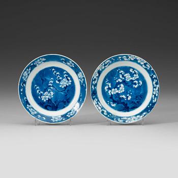 A pair of blue and white dishes, Qing dynasty Kangxi (1662-1722).