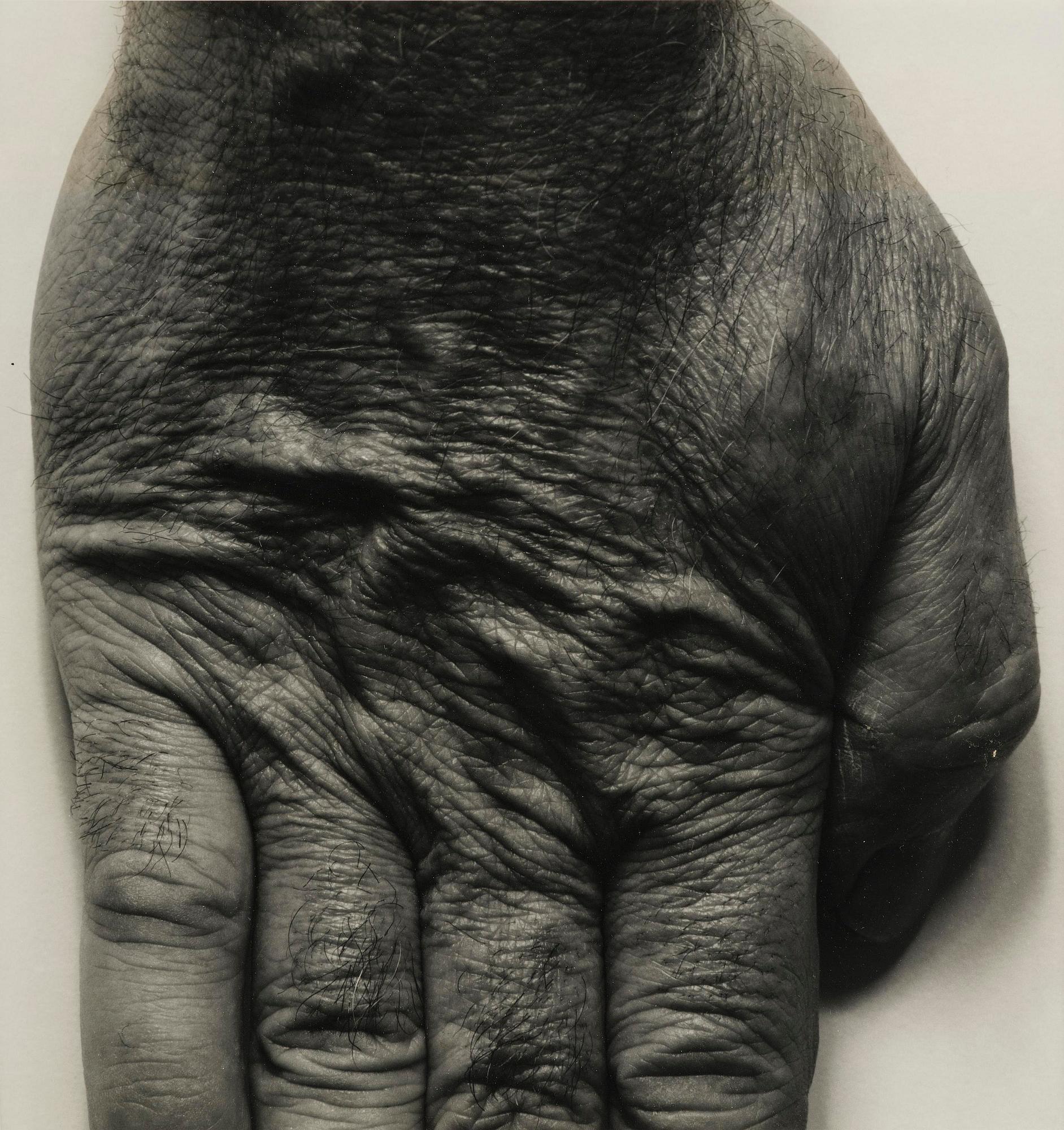 John Coplans, "Self Portrait (Standing Hand)", 1987.